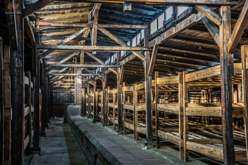 Auschwitz-Birkenau: Guided Tour and Skip-The-Line Ticket - Who Will Benefit Most from This Tour?