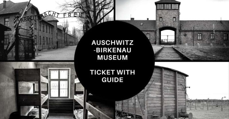Auschwitz-Birkenau: Memorial Entry Ticket and Guided Tour - Who This Tour Suits Best