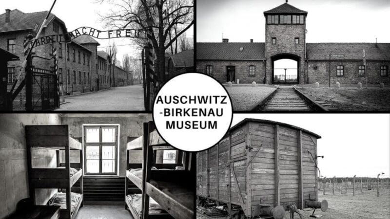 Auschwitz-Birkenau: Museum Entry Ticket with Guided Tour - Exploring Auschwitz and Birkenau: What You Can Expect