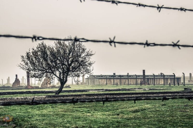 Auschwitz-Birkenau: Skip-the-Line Entry Ticket & Guided Tour - Logistics and Practical Details