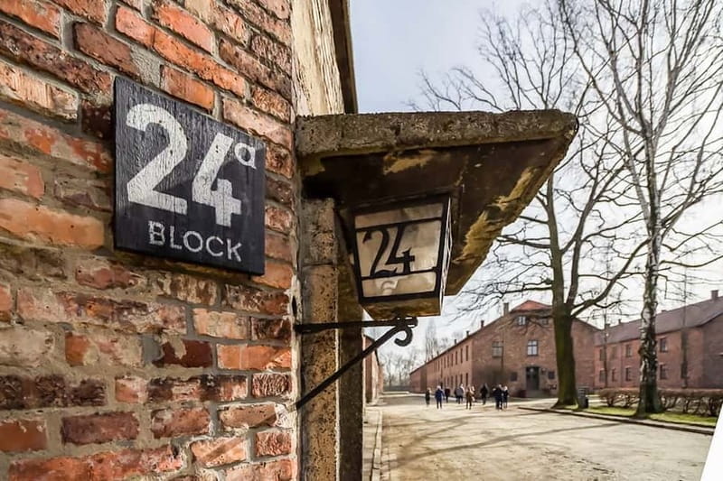 Auschwitz-Birkenau Skip-the-Line Guided Tour - Who Should Consider This Tour?