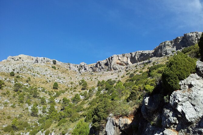 Authentic Andalusia - Jeep Eco Tour (Pick up From Marbella - Estepona) - Pickup and Dropoff