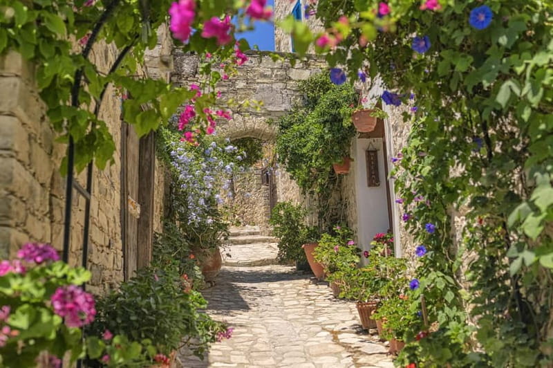 Authentic Cyprus with a Polish-speaking Guide - Who is this tour ideal for?