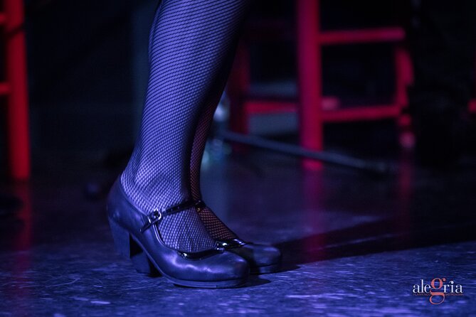 Authentic Flamenco Show. Joy and Gastronomy in Malaga - Accessible and Wheelchair-Friendly Venue