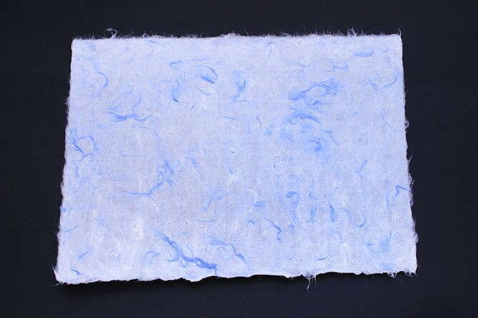 Authentic Handmade Washi Paper Making Workshop in Ueno - Overview of the Workshop Experience