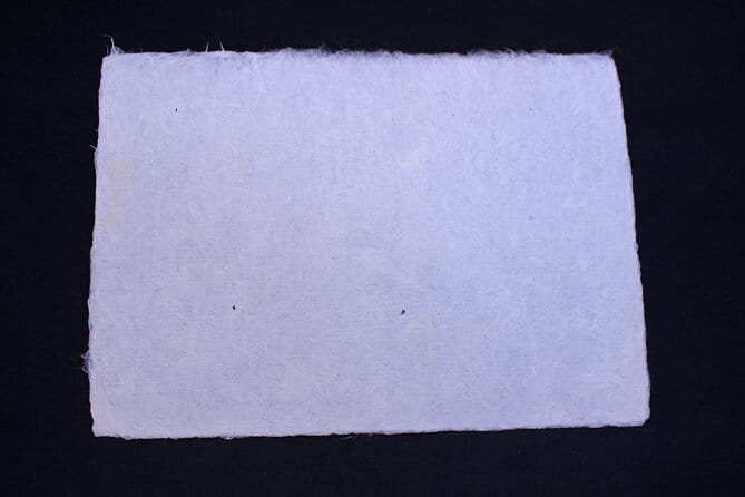 Authentic Handmade Washi Paper Making Workshop in Ueno - Additional Tips for Your Visit