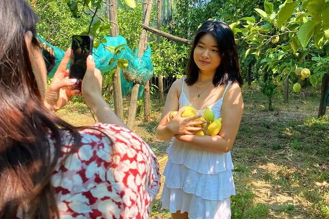 Authentic Lemon Experience at a Farm in Sorrento with Tastings - Logistics, Duration, and Cost: What to Know