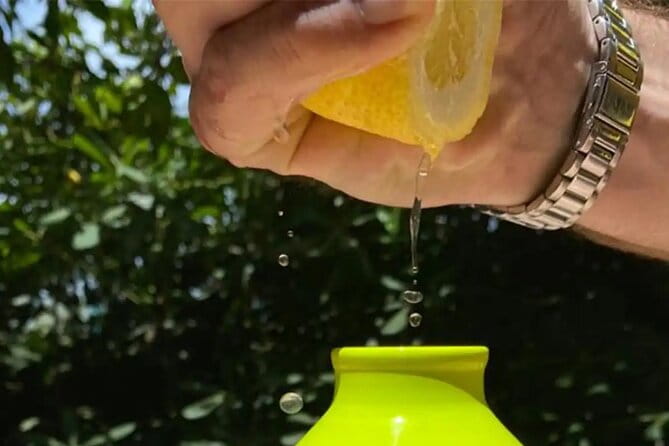 Authentic Lemon Experience at a Farm in Sorrento with Tastings - Final Thoughts: Is It Worth It?