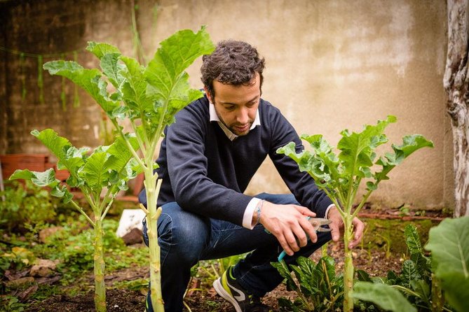 Authentic Portuguese Cooking Class and Dinner in a Lisbon Home - Authentic Portuguese Cooking