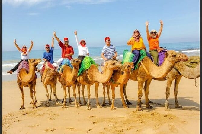 Authentic Private Tangier Tour from Estepona Camel Ride & Lunch - Key points / Takeaways