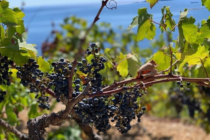 Authentic private viewpoint wine&dine tour - FAQs