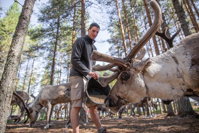 Authentic Reindeer Farm and Canoe Experience from Rovaniemi. - Who Will Love This Experience?