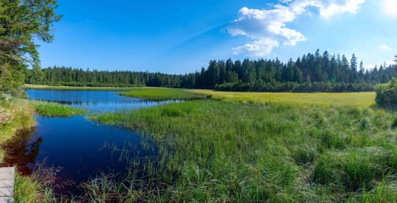 Authentic Slovenia: A Mystery Travel Day Tour - The Craft Workshop: A Hands-On Cultural Touch