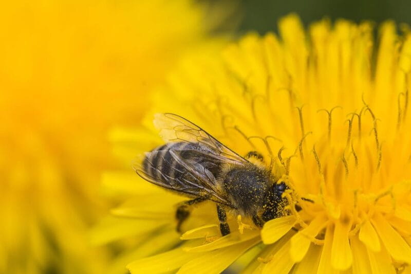 Authentic Slovenia: A Mystery Travel Day Tour - Who Will Love This Tour?