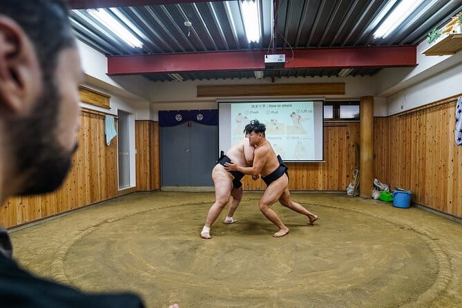 Authentic Sumo Experience in Tokyo : Enter the Sanctuary - Precautions and Considerations