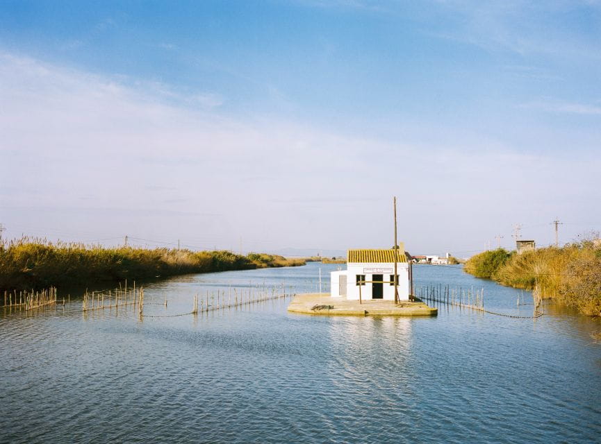 Authentic Valencian Paella Cooking Class - Experience Highlights