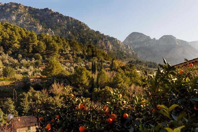 Authentic Vall de Sóller: Day Trip - Key points / Takeaways