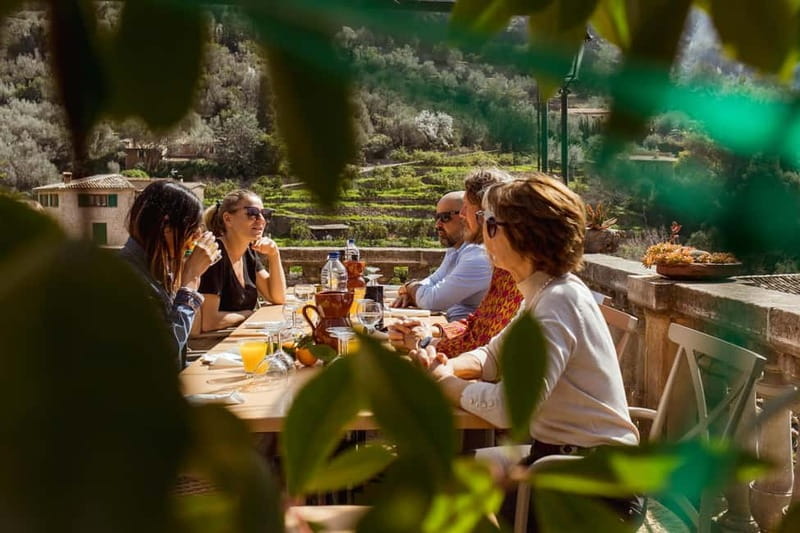 Authentic Vall de Sóller: Day Trip - Price and Logistics