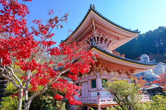 Autumn Leaves Buddha and Mt.Yoshino With Orange Picking Tour - The Beauty of Mt. Yoshino in Autumn