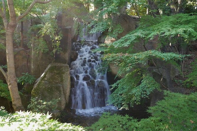 Autumn Leaves Private Tour in Nagoya - Accessibility Information