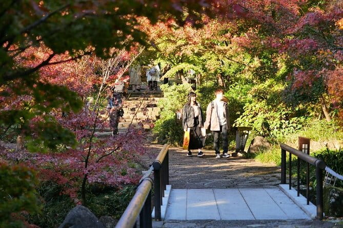 Autumn Leaves Private Tour in Nagoya - Cancellation and Booking Policies
