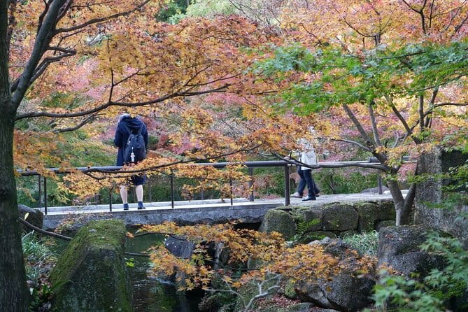 Autumn Leaves Private Tour in Nagoya - Tips for a Memorable Experience