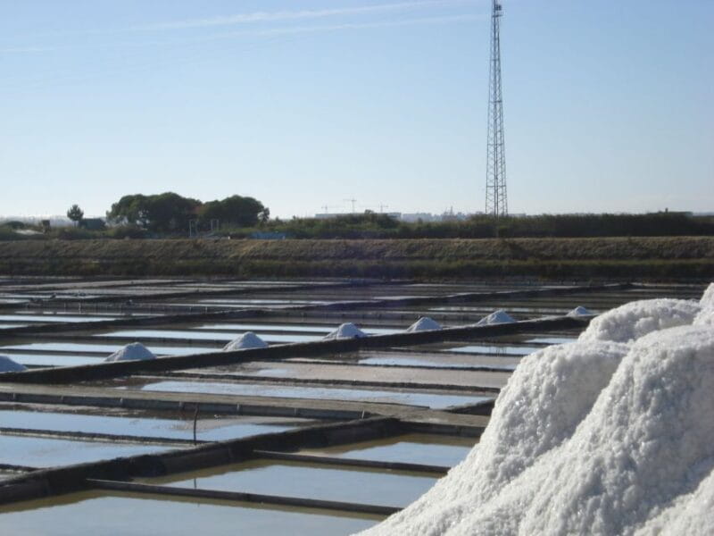 Aveiro: Boat Cruise and City Walking Tour with Sweet Tasting - Exploring Aveiro: The Experience in Detail