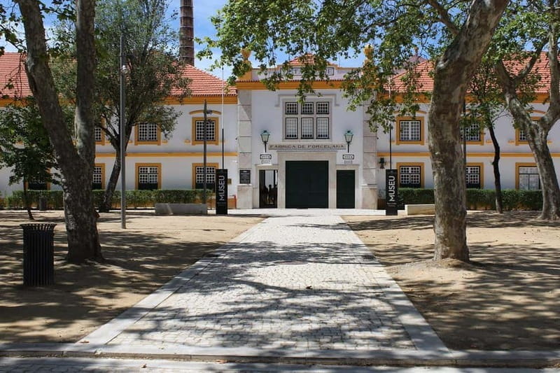 Aveiro & Costa Nova Day Trip  Full Access Included - Visiting the Salt Flats and Maritime Heritage