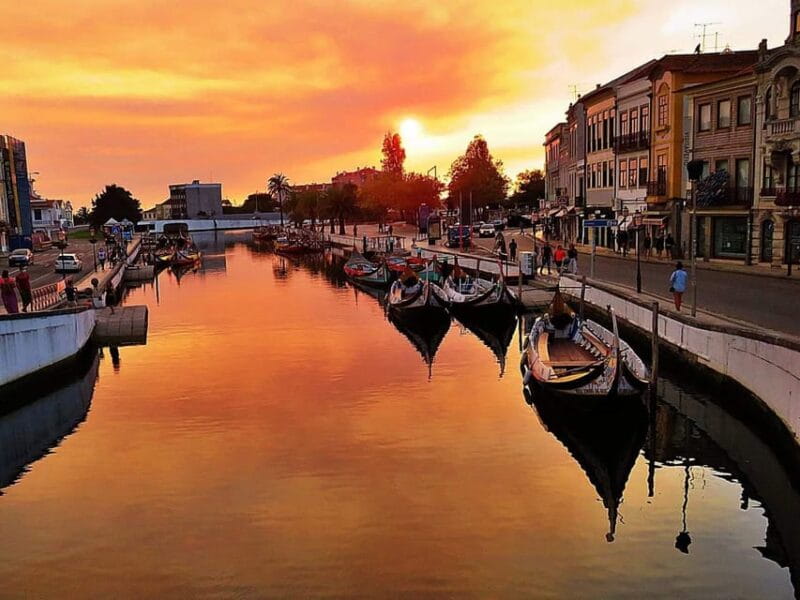 AVEIRO, COSTA NOVA E COIMBRA: Private Tour from Porto - The Practical Aspects: Price, Timing, and Experience