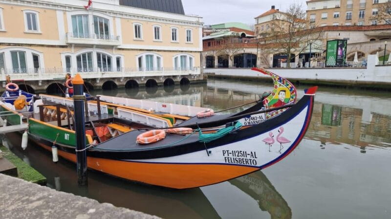 AVEIRO, COSTA NOVA E COIMBRA: Private Tour from Porto - Who Should Consider This Tour?