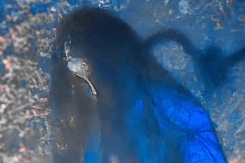 Aveiro: Escape Manor Escape Room - FAQs