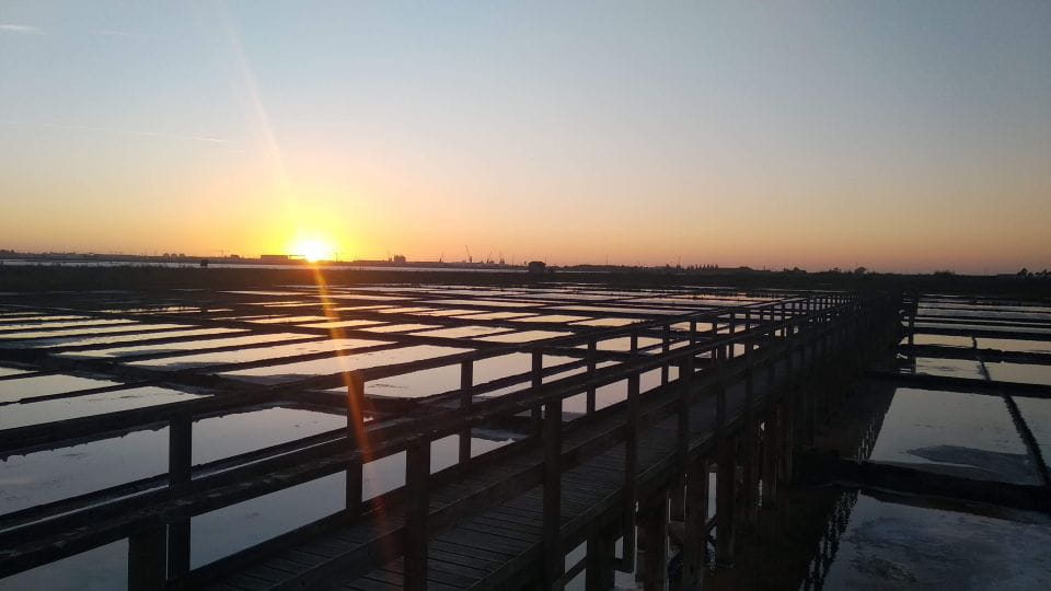 Aveiro Essential - Walking Tour & City Cruise - City Cruise