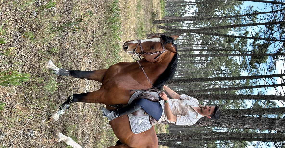 Aveiro: Horse Riding Experience With Instructor - Key Points