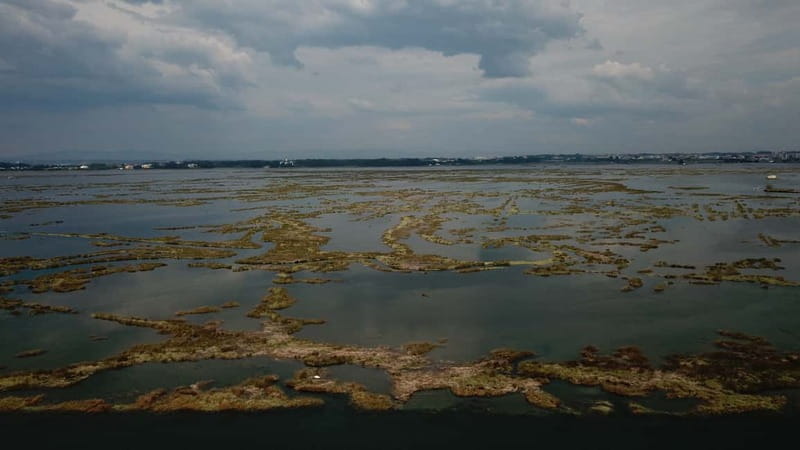 Aveiro: Ria Highlights Boat Tour - Speed Boat - Key Points / Takeaways