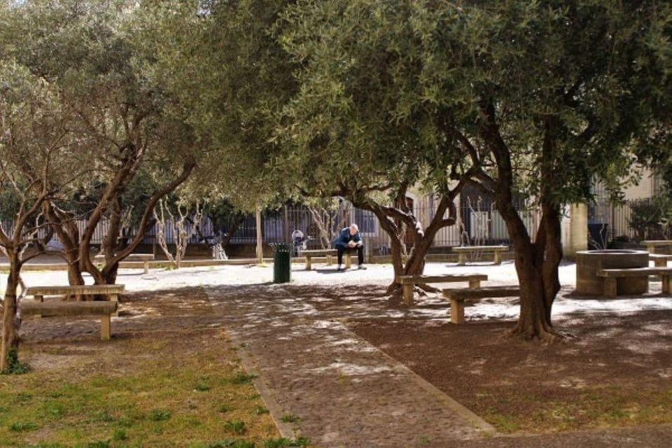 Avignon: Emblematic Squares Tour - Commencement at Porte De La République