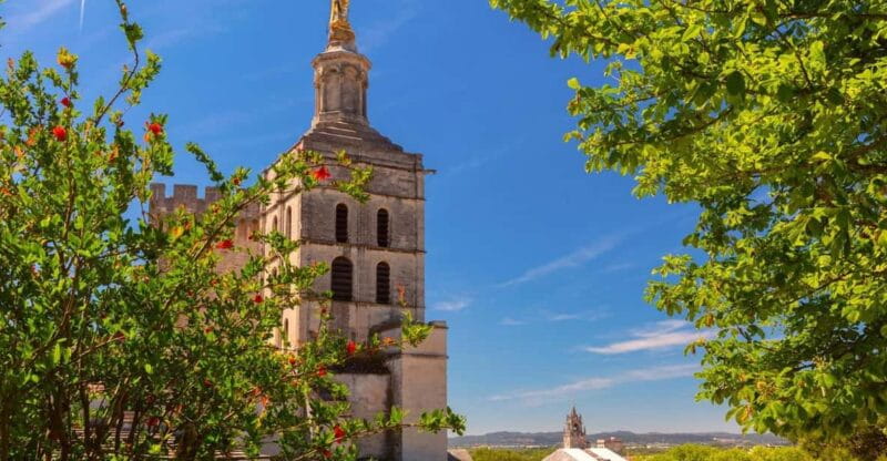 Avignon: Express Walk with a Local in 60 minutes - Exploring the Highlights: What You’ll See and Experience