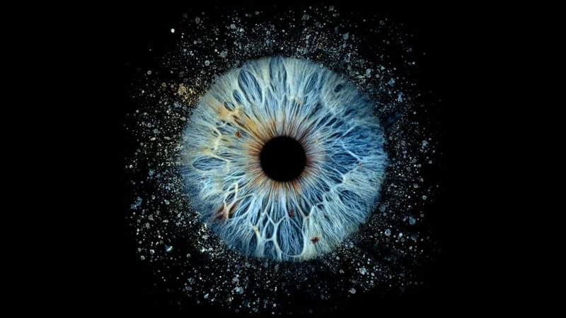 Avignon: Reveal the beauty of your iris with Iris Galerie - Key points / Takeaways