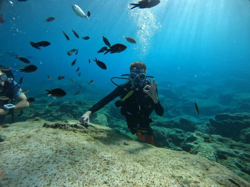 Ayia Napa: Beginners Discover Scuba Diving Experience - The Locations: Sculptures and Turtles