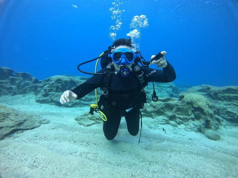 Ayia Napa: Beginners Discover Scuba Diving Experience - Who This Tour Is Perfect For