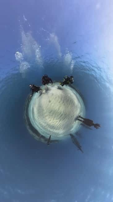 Ayia Napa: Musan Underwater Museum Scuba Dive with Transfer - Key Points / Takeaways