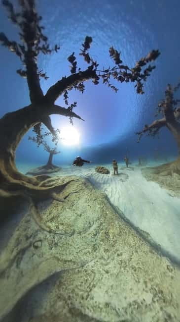 Ayia Napa: Musan Underwater Museum Scuba Dive with Transfer - Guides, Equipment, and Safety