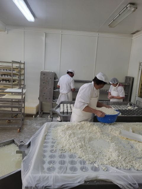 Azeitão - Cheese, Tiles and Wine - Itinerary Highlights