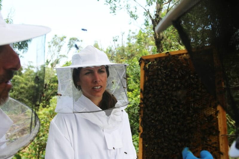 Azores Beekeeping Tour and Honey Taste - Key points / Takeaways