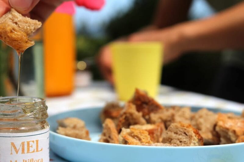 Azores Beekeeping Tour and Honey Taste - The Beekeeping Tour Experience in Detail