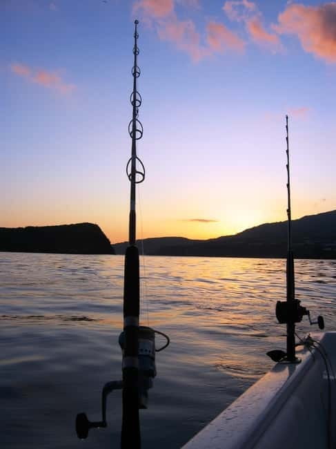 Azores: Ponta Delgada Sport Fishing Private Tour - Who Should Consider This Experience?