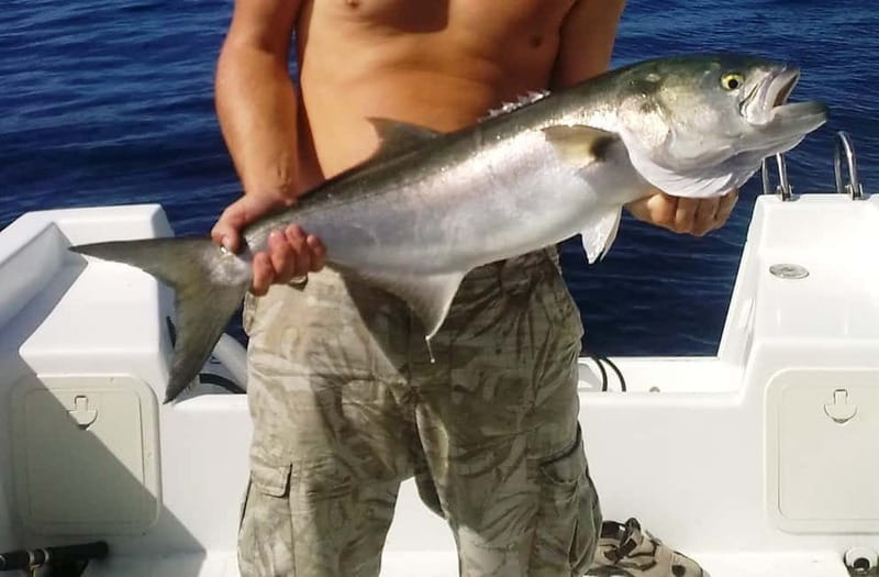 Azores: Ponta Delgada Sport Fishing Private Tour - Price and Logistics