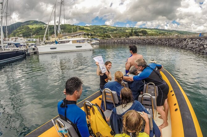 Azores Swim With Dolphins Atlantic Experience - Language and Group Size