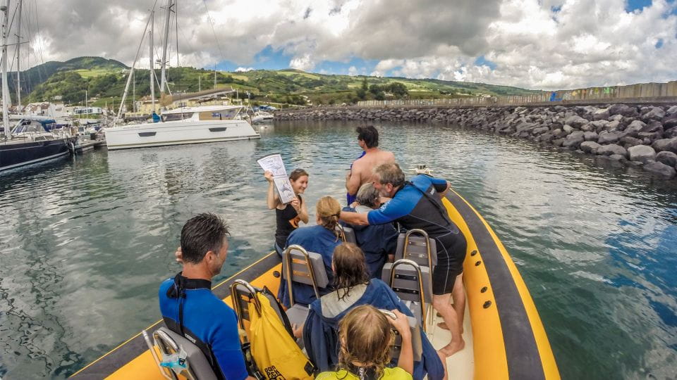 Azores: Swim With Dolphins Atlantic Experience - Connection With Nature