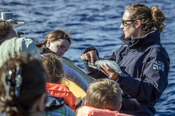 Azores Whale Watching & Islet Boat Tour - The Real Deal: An In-Depth Look at the Azores Whale Watching & Islet Boat Tour