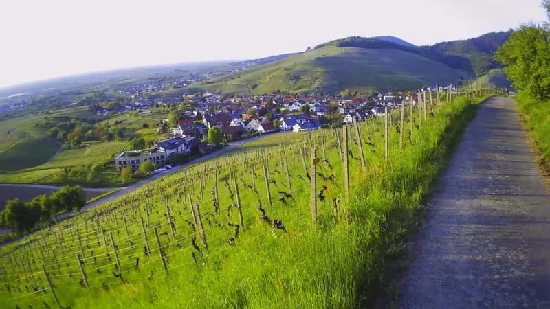 Baden-Baden: Private e-Mountainbike Tour with local Guide - The Journey Through Baden-Baden on Two Wheels